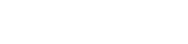 Liquid Nitro Games logo